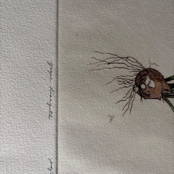 Grape Hiacynth signed/numbered etching by Jody Mahaffie - Picture 3 of 4